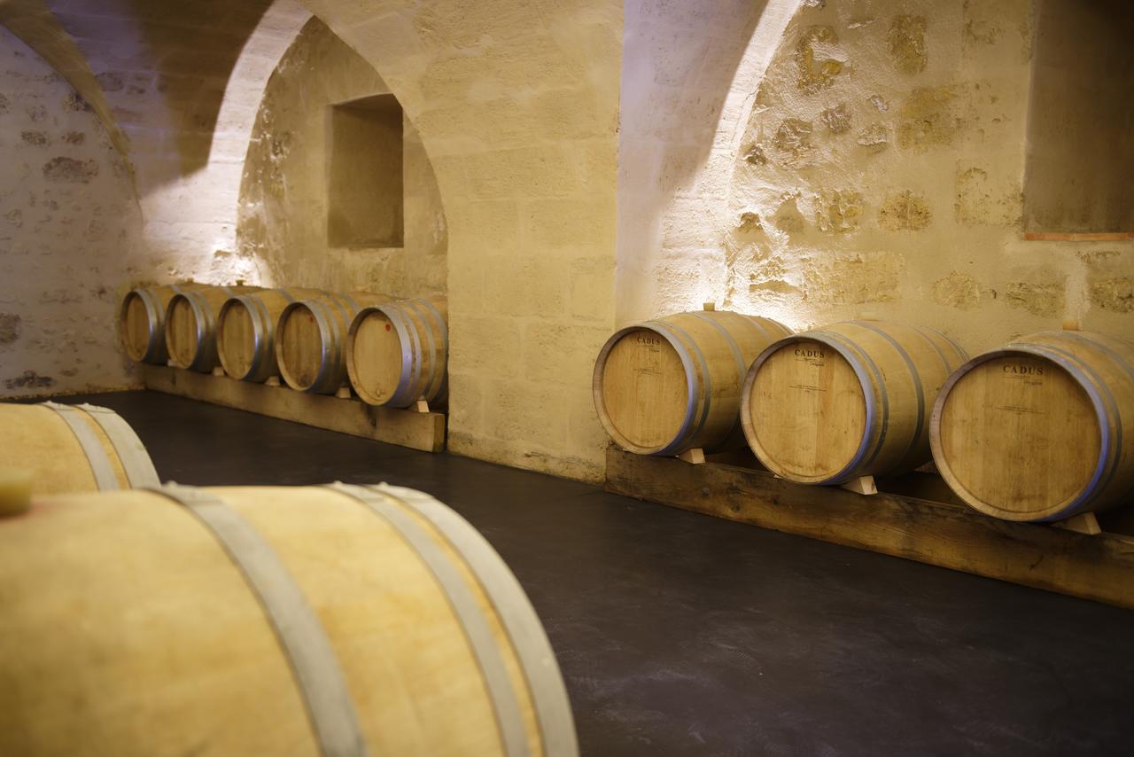 Chambres D'Hotes De Chateau Renon Tabanac 外观 照片